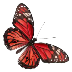 Imagen PNG para descargar